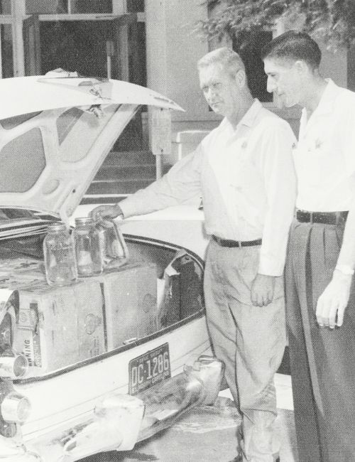 1950s Sheriff Ben Boyles and George H.C. Shutt find a car trunk filled with white lightning (1954-1962) Davie County Public Library